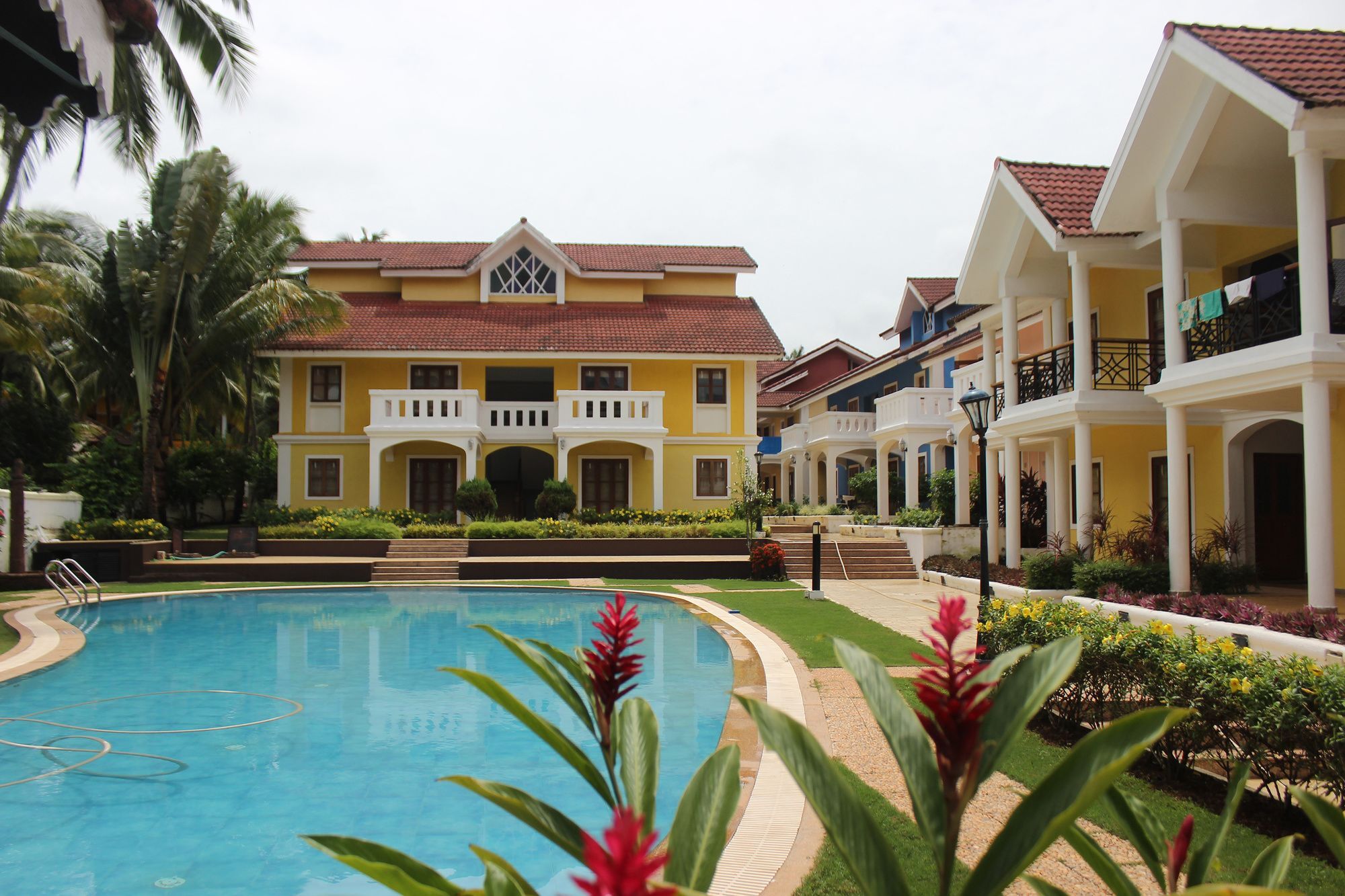 Classy 1bhk Colva Betalbatim